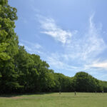 【89坪】Okamoto 3cho-me Land -岡本3丁目 土地- 【89坪】Okamoto 3cho-me Land -岡本3丁目 土地-