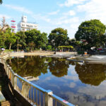 清水池公園